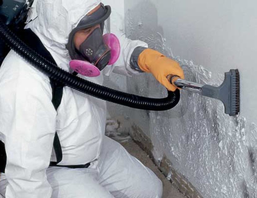 Mold cleaning