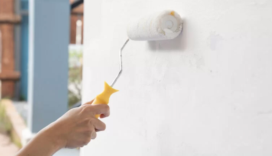 anti-mold-painting
