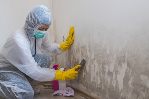 mold-cleaning